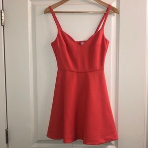 Elizabeth and James dress NWT